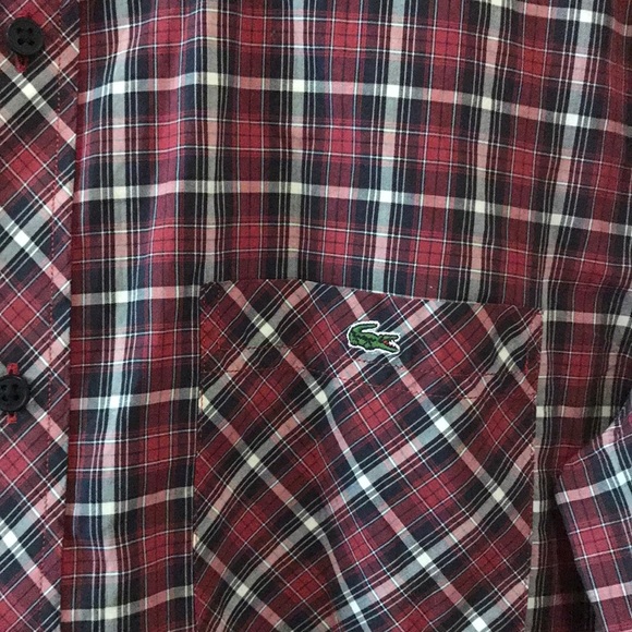 Lacoste button down - Picture 4 of 4